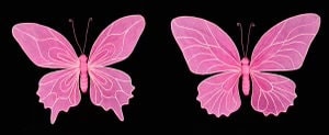 Pink Wired Paper Butterfly - Set of 2