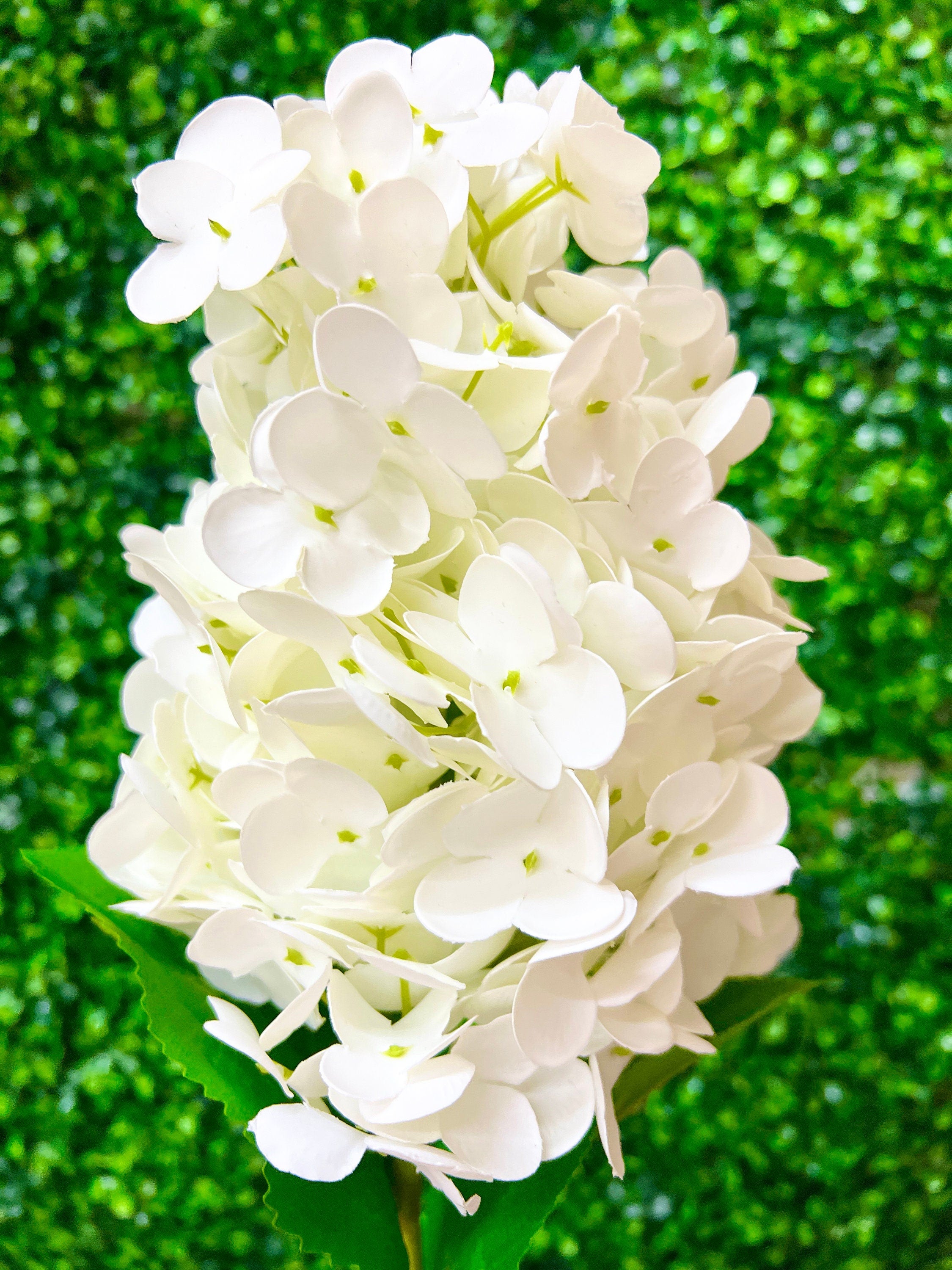 White Real Touch Cone Hydrangea- 29 inch